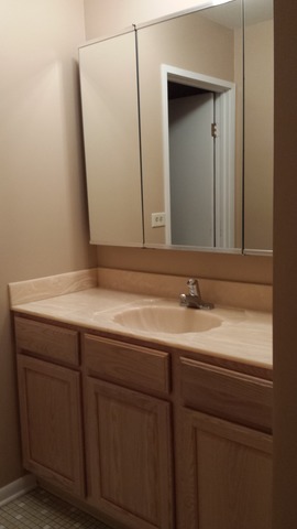 801 79th Street, Unit 101 Darien, IL 60561 - Photo 7 of 12