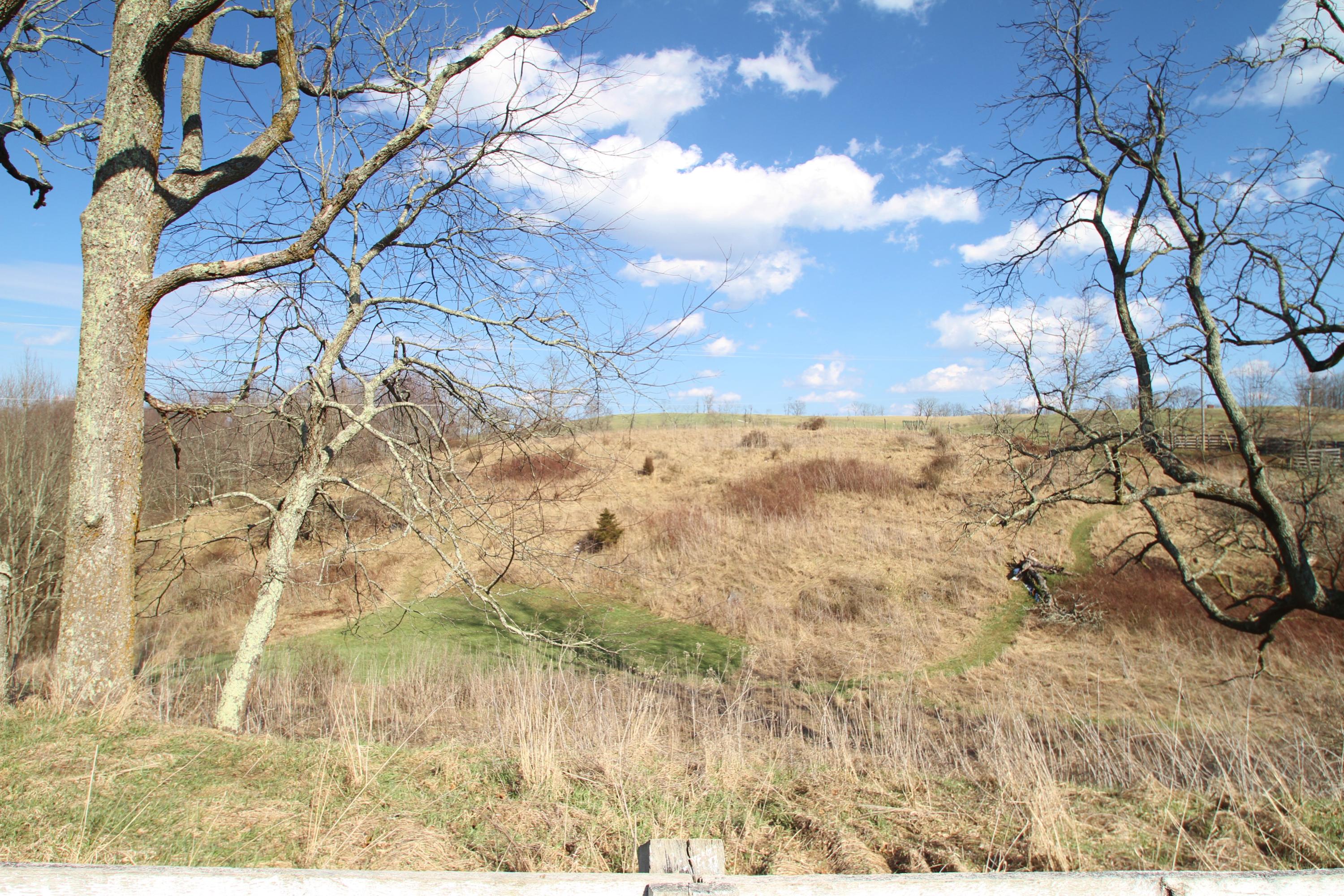 2258 Stringtown Road Sinks Grove, WV 24976 - Photo 92 of 103 Gallery Image 92