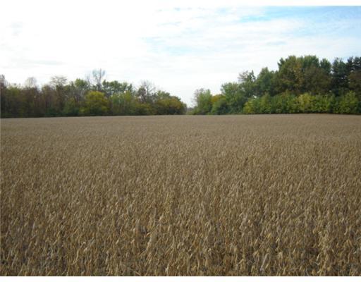 70 Acres On Limrick Road Springfield, OH 45502 - Photo 6 of 7