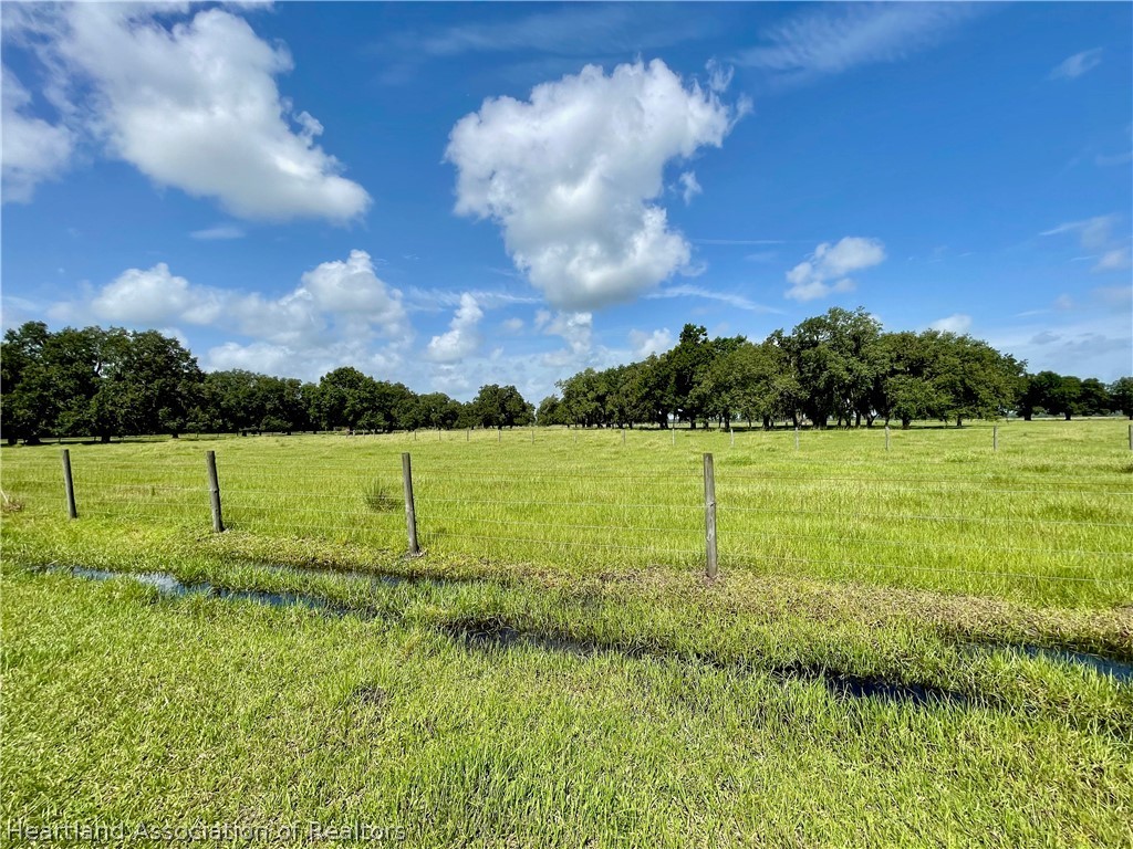 302 Goff Road Venus, FL 33960 - Photo 24 of 36 Gallery Image 24
