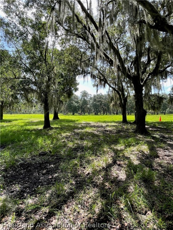 302 Goff Road Venus, FL 33960 - Photo 33 of 36 Gallery Image 33