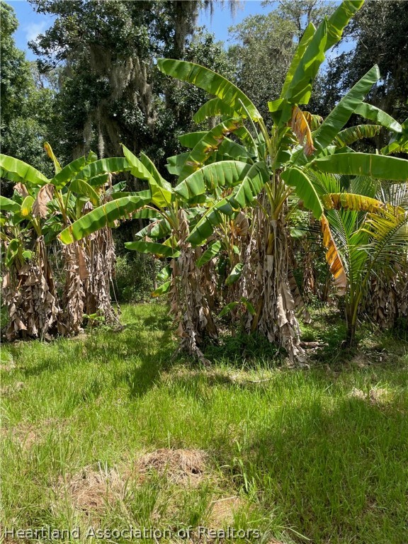 302 Goff Road Venus, FL 33960 - Photo 34 of 36 Gallery Image 34