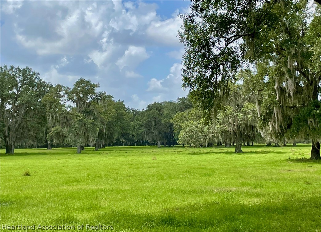 302 Goff Road Venus, FL 33960 - Photo 5 of 36 Gallery Image 5