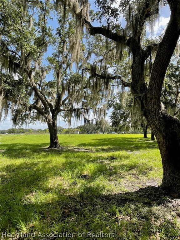 302 Goff Road Venus, FL 33960 - Photo 8 of 36 Gallery Image 8