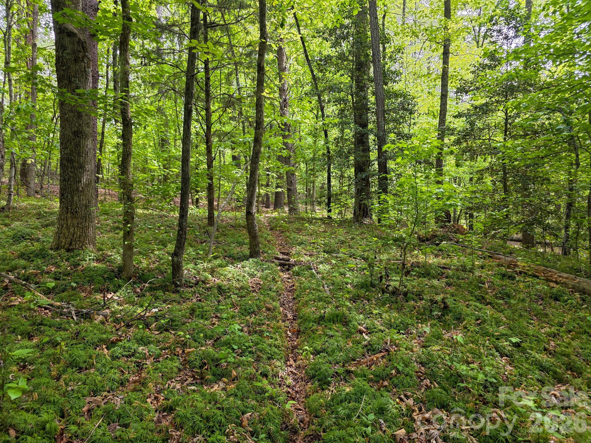 0 Romey Campbell Road Ellenboro, NC 28040 - Photo 25 of 41