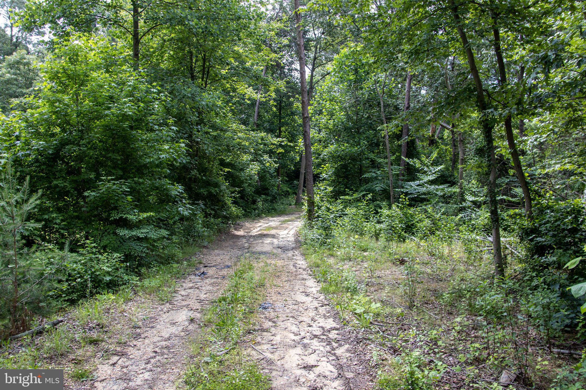 512 Magothy Beach Road Pasadena, MD 21122 - Photo 3 of 6