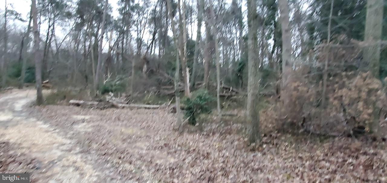 512 Magothy Beach Road Pasadena, MD 21122 - Photo 4 of 6 1 acre lot