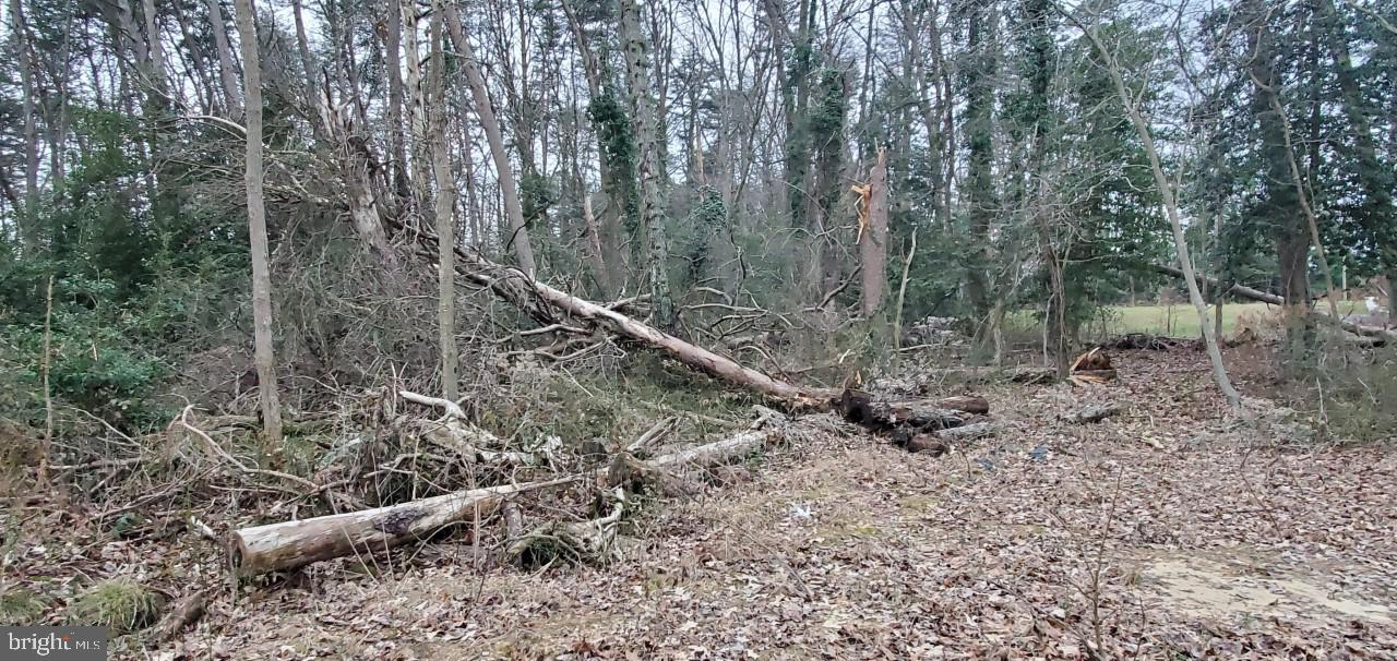 512 Magothy Beach Road Pasadena, MD 21122 - Photo 5 of 6 1 acre lot