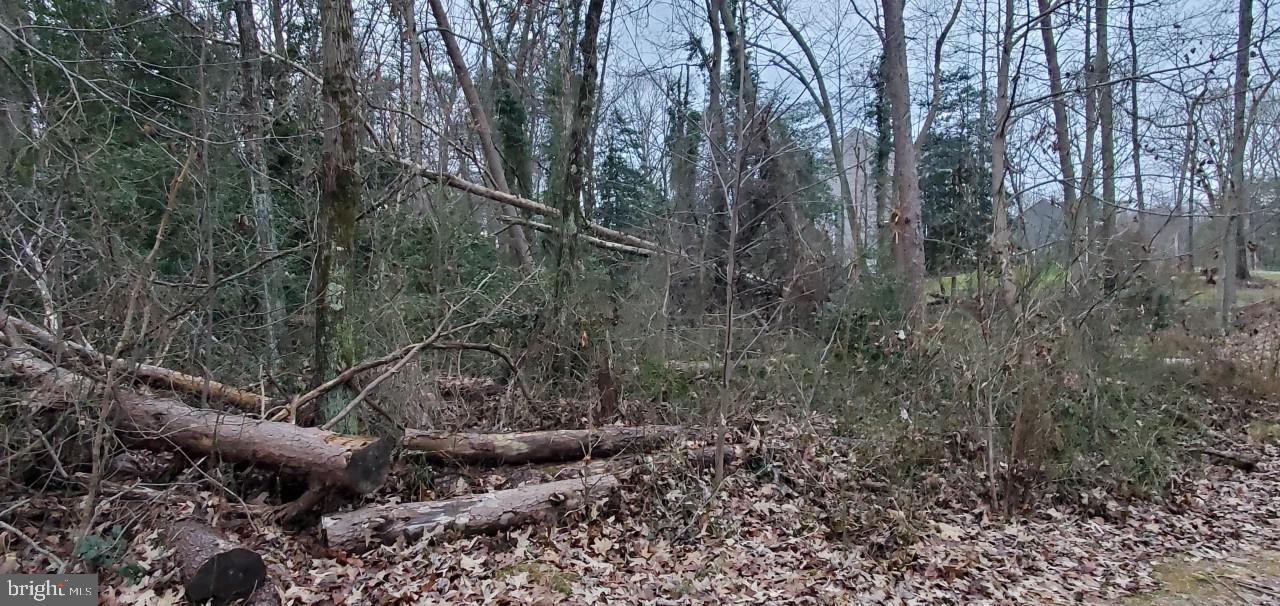 512 Magothy Beach Road Pasadena, MD 21122 - Photo 6 of 6 I acre lot