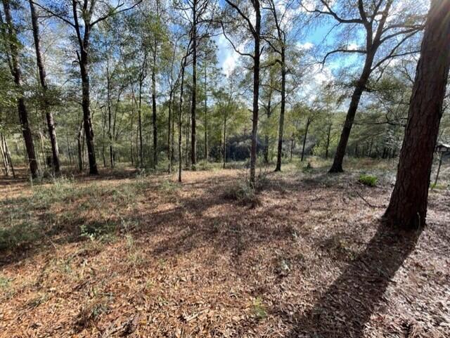 278 Elmwood Road DeFuniak Springs, FL 32433 - Photo 24 of 29 a18