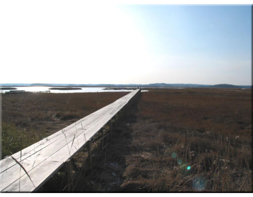 166 Argilla Road Ipswich, MA 01938 - Photo 15 of 30