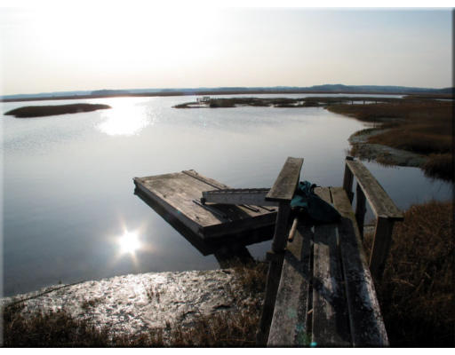 166 Argilla Road Ipswich, MA 01938 - Photo 16 of 30