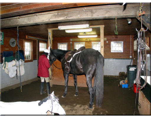 166 Argilla Road Ipswich, MA 01938 - Photo 28 of 30