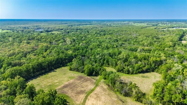 a view of a green field with lots of bushes
