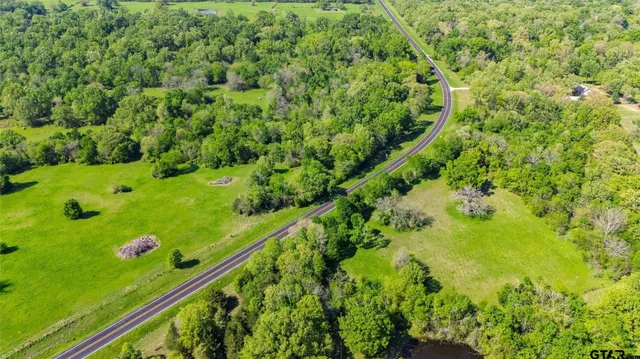 a view of a garden with a plant
