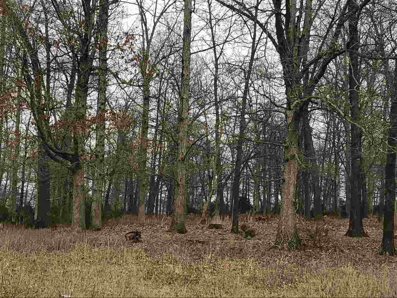 Tbd Old Sawmill Road Harrisonburg, VA 22802 - Photo 12 of 21 Gallery Image 12