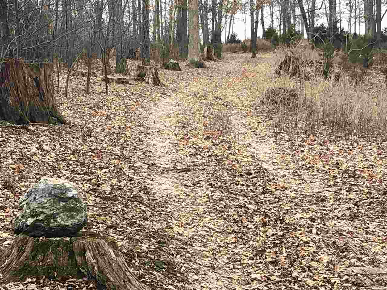 Tbd Old Sawmill Road Harrisonburg, VA 22802 - Photo 19 of 21 Gallery Image 19