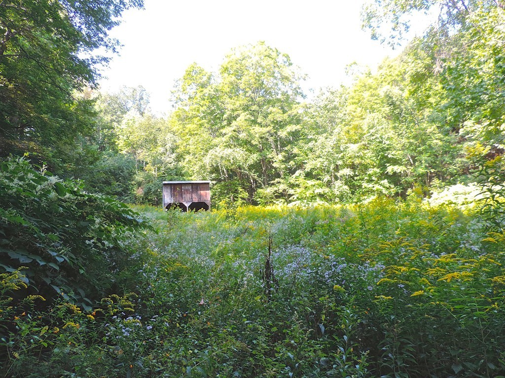 10 Wilson Graves Road Shelburne, MA 01370 - Photo 21 of 24 Gallery Image 21