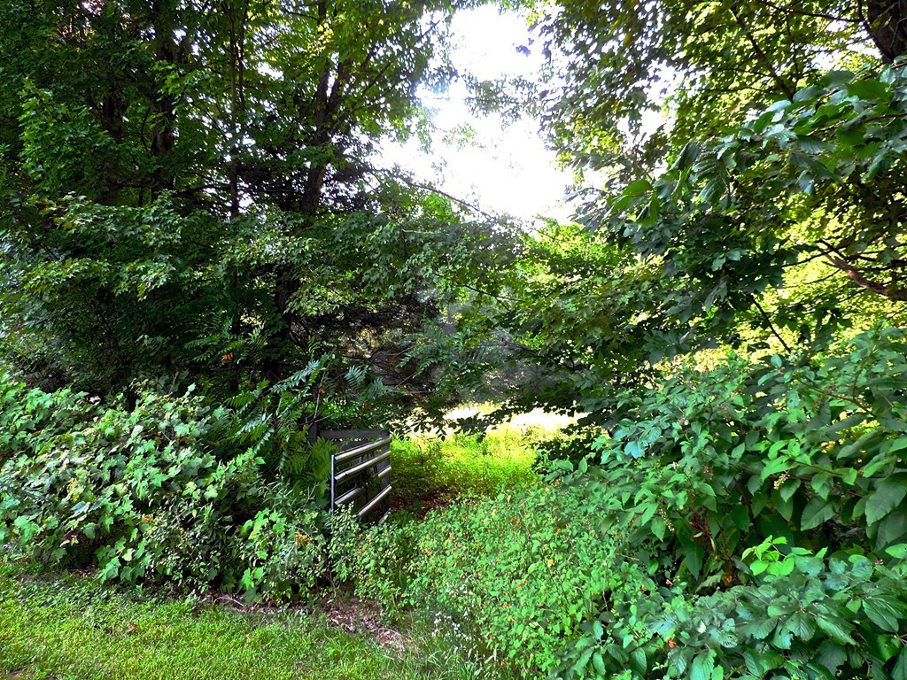10 Wilson Graves Road Shelburne, MA 01370 - Photo 22 of 24 Gallery Image 22
