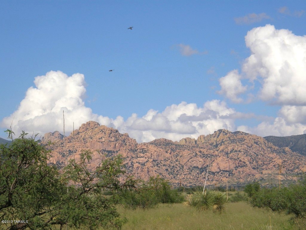 Lot 62 East Naiche Road, Unit 62 St. David, AZ 85630 - Photo 8 of 20