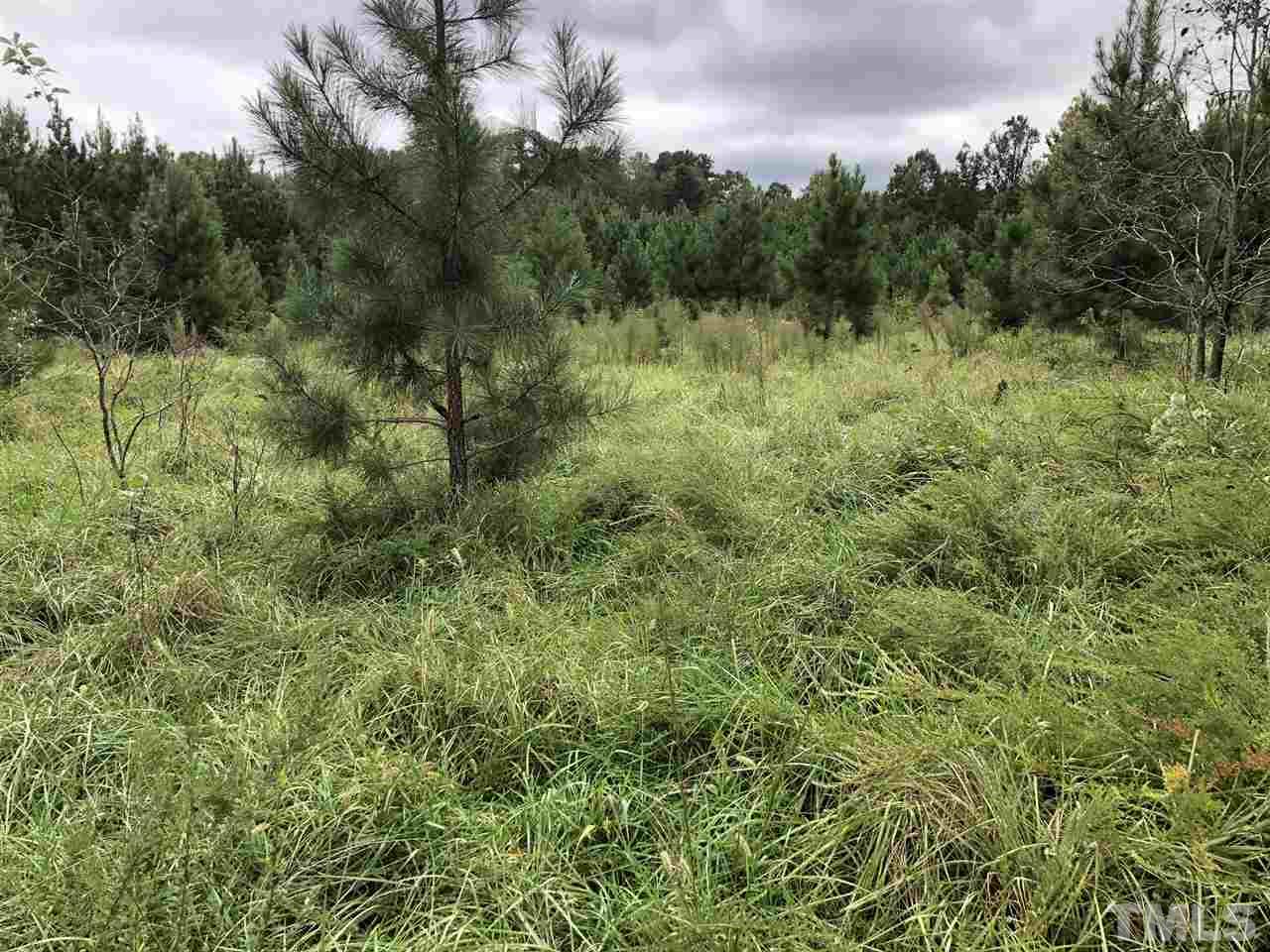 710 Orange Factory Road Bahama, NC 27503 - Photo 4 of 6