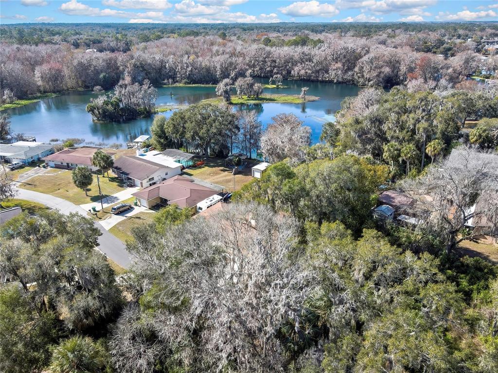 12130 Maple Street Dunnellon, FL 34432 - Photo 12 of 54 a view of a lake with mountains in the background