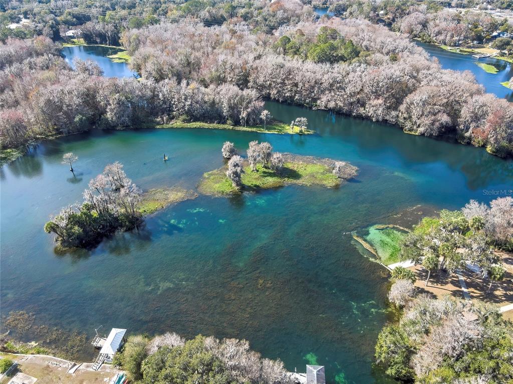 12130 Maple Street Dunnellon, FL 34432 - Photo 54 of 54 a view of a lake with a mountain and trees in the background