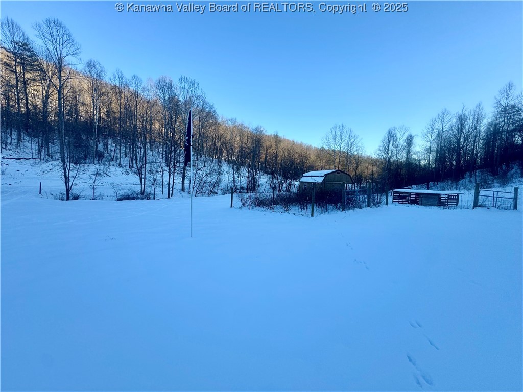 1311 Board Run Road Sandyville, WV 25275 - Photo 19 of 26 Gallery Image 19