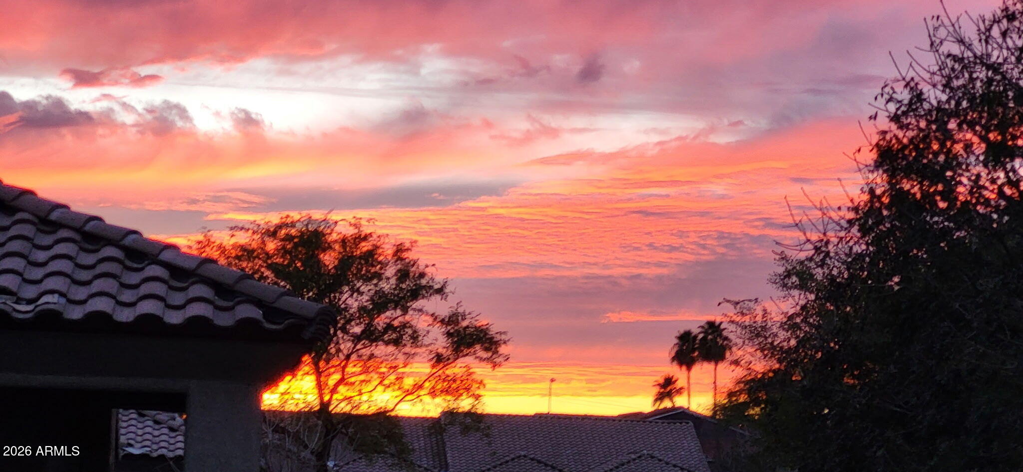 4202 East Broadway Road, Unit 138 Mesa, AZ 85206 - Photo 17 of 17 Backyard Sunset