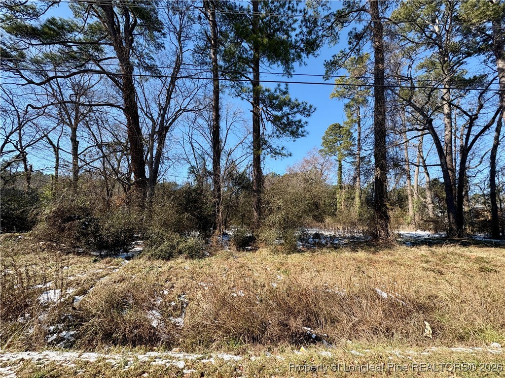 a view of a yard covered with snow in front of house