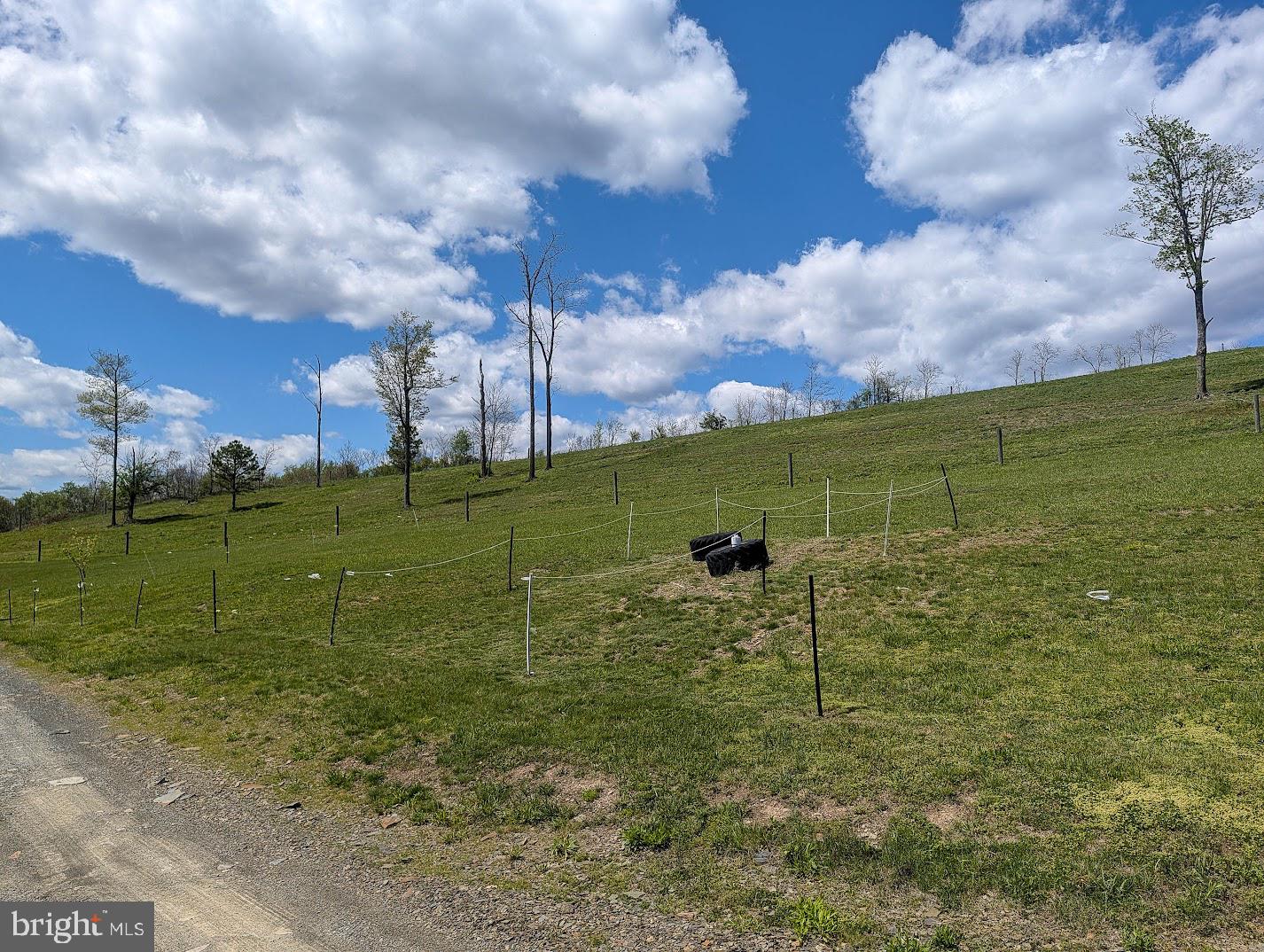258 Lovely Road Alum Bank, PA 15521 - Photo 61 of 91