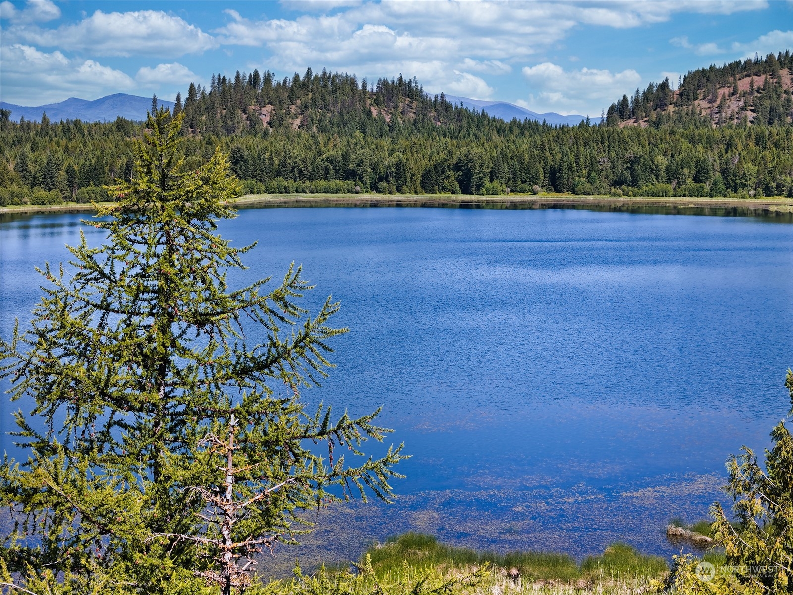 631 Deeter Road Newport, WA 99156 - Photo 2 of 12