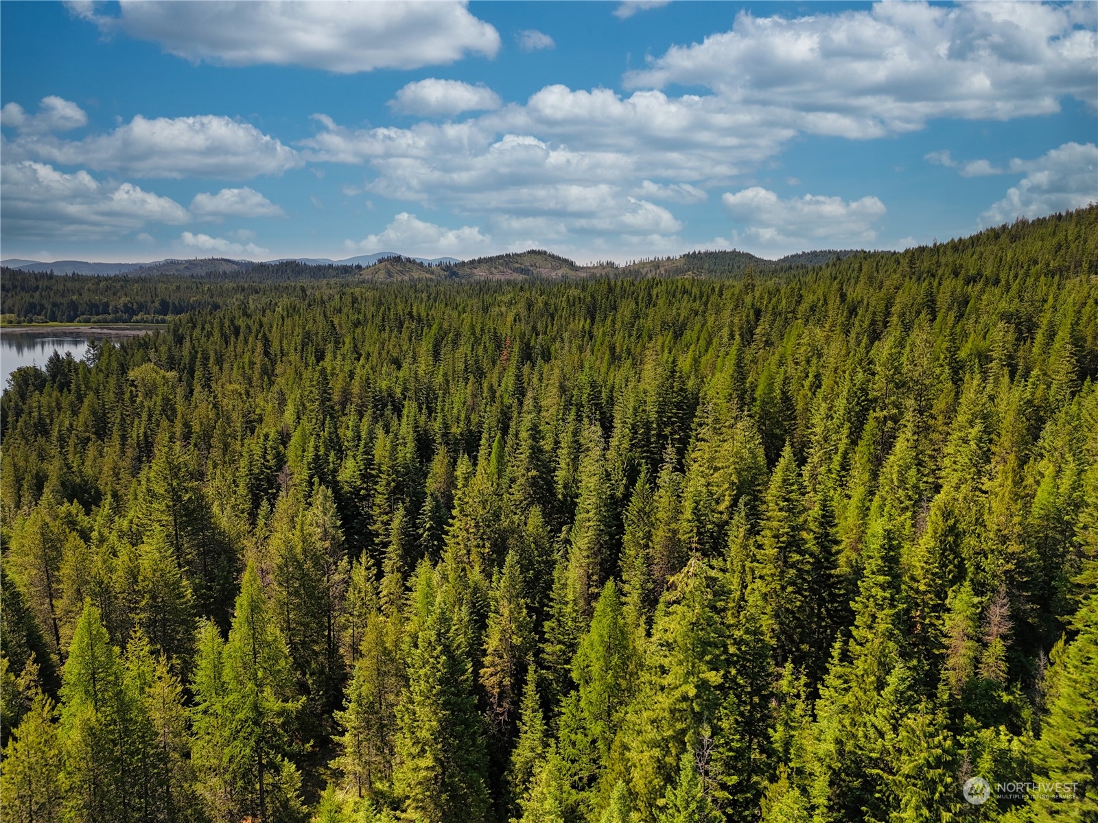 631 Deeter Road Newport, WA 99156 - Photo 3 of 12