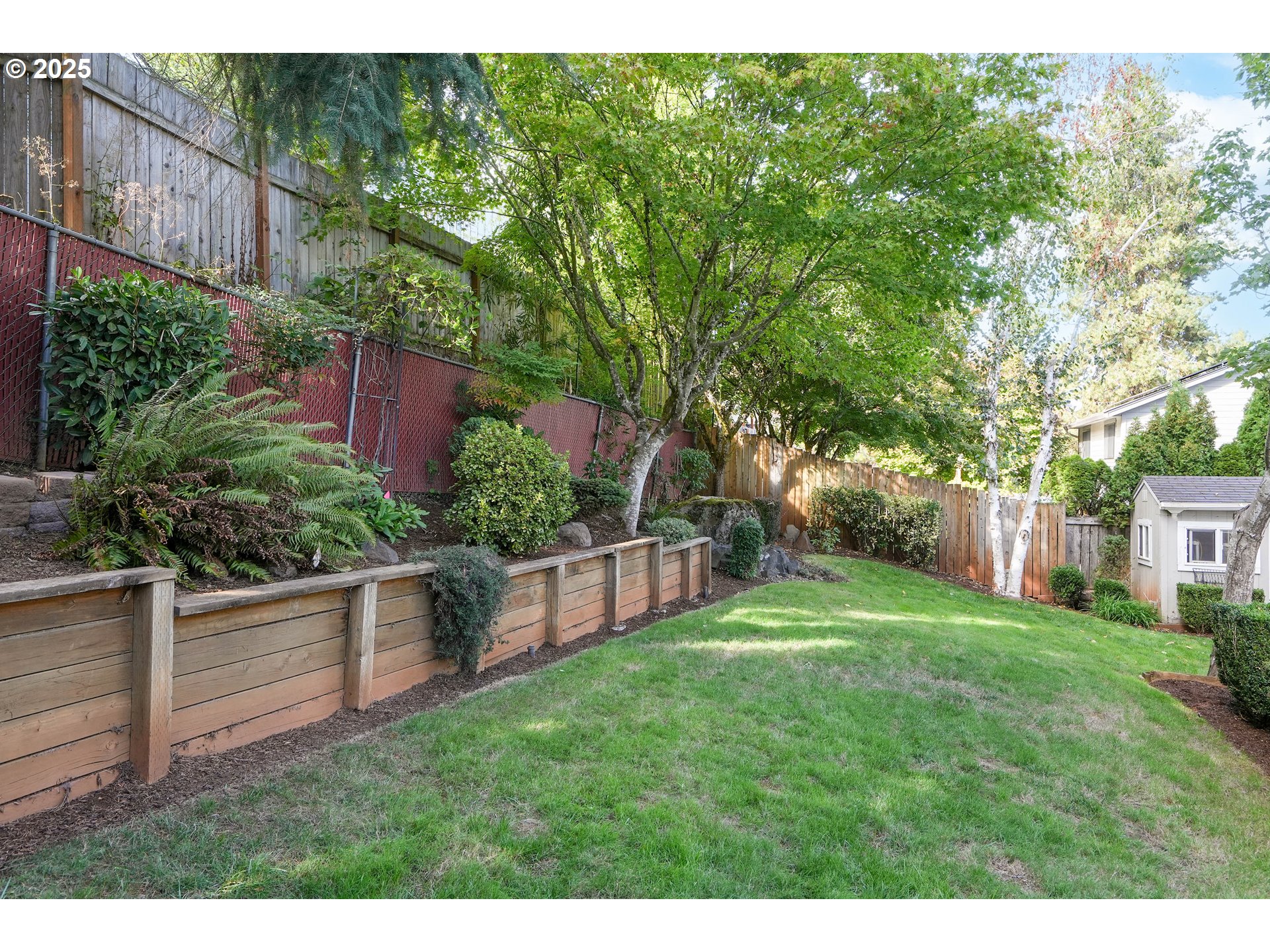 5561 Springwood Avenue Southeast Salem, OR 97306 - Photo 42 of 42 a view of a backyard with plants and large trees