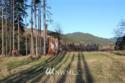 7777 Elk Valley Road Forks, WA 98331 - Photo 1 of 1 Gallery Image 1