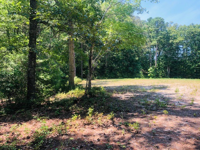 1 Mt Nebo Road, Unit 1 Onancock, VA 23417 - Photo 7 of 11