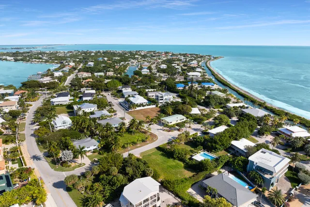 an aerial view of a house with a yard and lake view