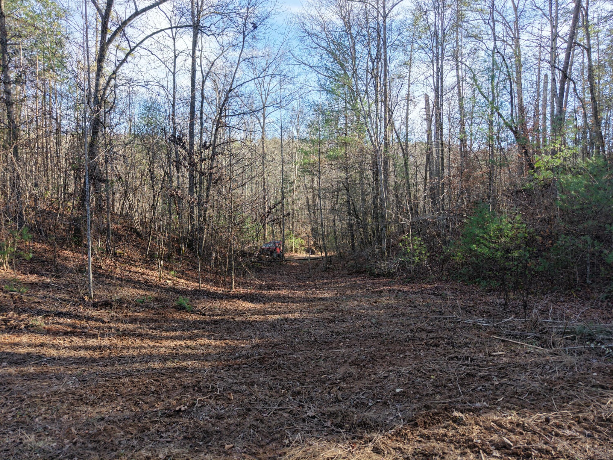 0 Bakers Creek Road Old Fort, TN 37362 - Photo 11 of 15