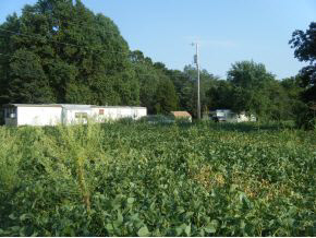 6302 Sand Pit Road Bedford, IN 47421 - Photo 20 of 20