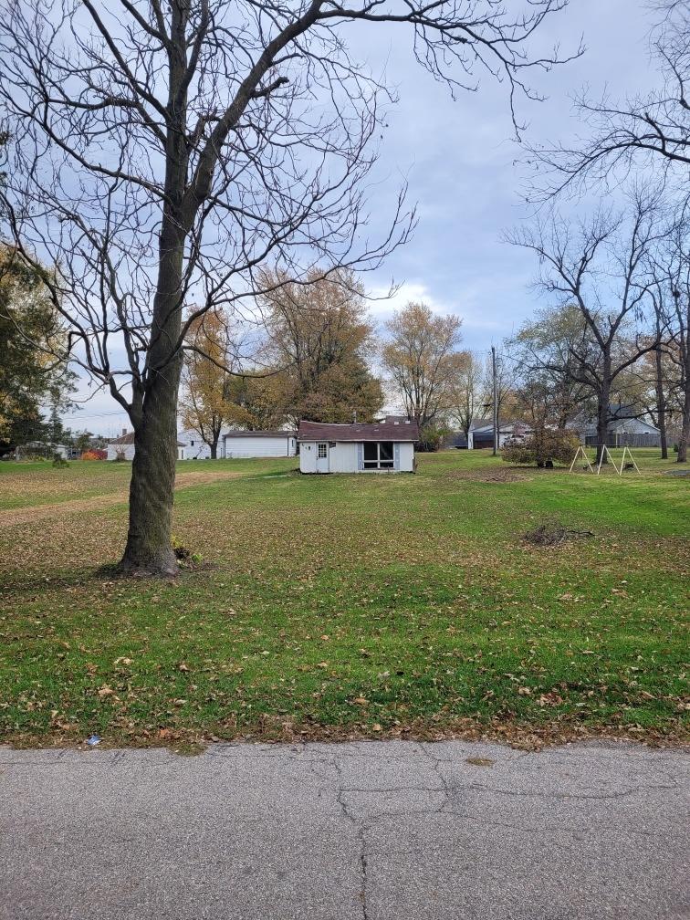 a view of a field with large trees