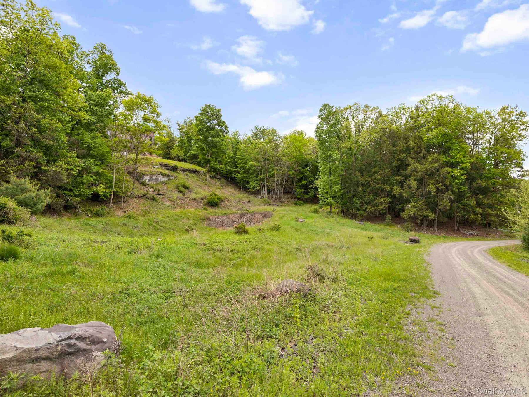 40 Mamoud Hills Road Kingston, NY 12401 - Photo 14 of 42 a view of a big yard with large trees