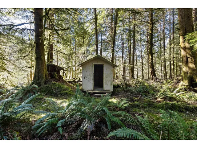 a front view of a house with a yard and potted plants