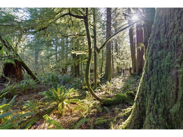 a view of swimming pool and lake