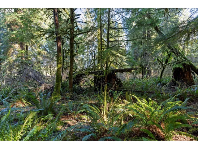 a view of outdoor space and a yard