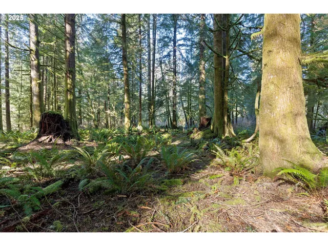 a view of outdoor space and garden