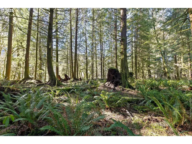 a view of outdoor space and garden