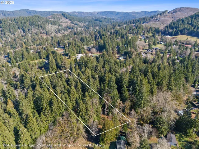 an aerial view of residential house with outdoor space and trees all around