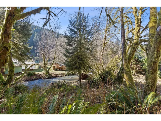 a view of a yard with wooden fence