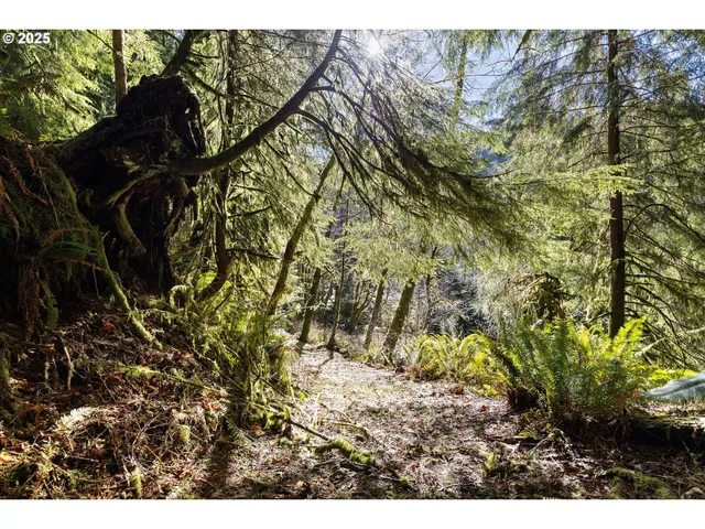 a backyard of a house