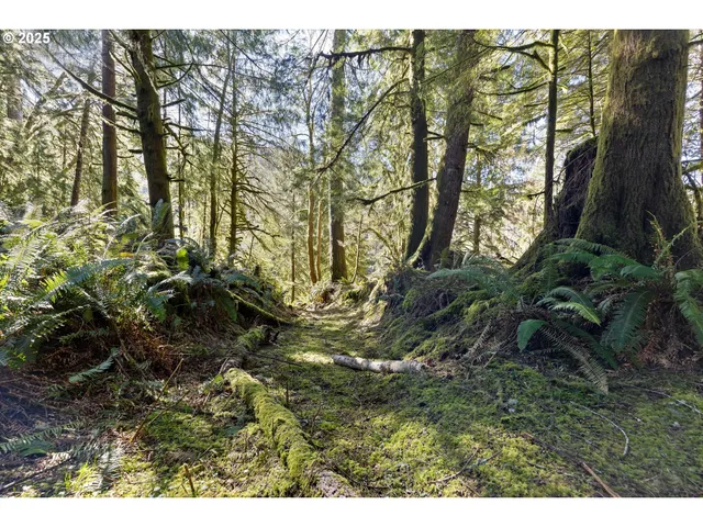 a view of outdoor space and a yard